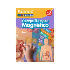 Cuerpo Humano Laminas Magnetica