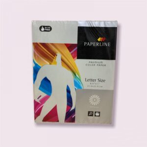 Papel Bond 75gr Silver o Plata Carta 100 hojas